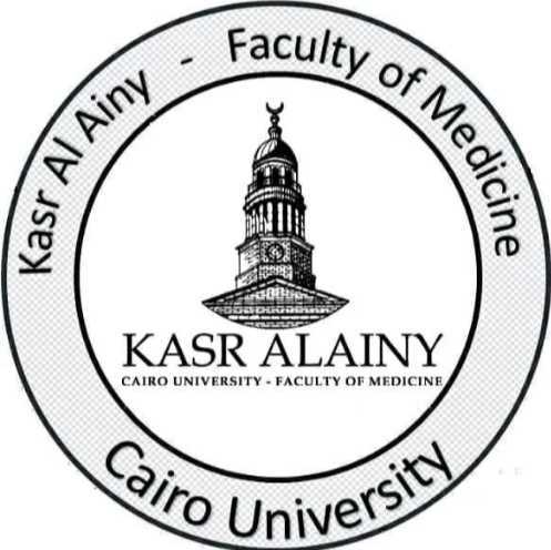 Hospital El Qasr El Ainy New Educational ( French ) logo