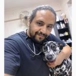 أخصائي طب الحيوانات الأليفة