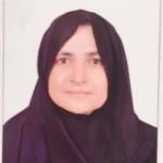 Consultant in gynecology, obstetrics, microsurgery, and female cosmetic surgery 
