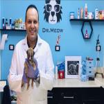  Consultant of Veterinary and pet Surgery 