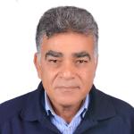 Professor and Former Head of the Department of Neurosurgery, Kasr Alainy, Cairo University 