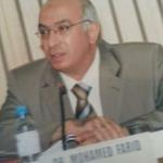 Consultant of Obstetrics, Gynecology, Infertility and ICSI - Cairo University