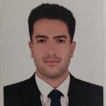 ممارس عام