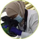 Implantology & Cosmetic Dentistry 