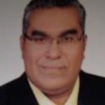 Consultant in Plastic and Burn Surgery