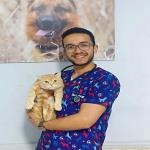 Specialist in Pet Medicine and Surgery 
