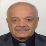Consultant of Ear, Nose and Throat - Ain Shams University