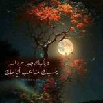 استشارى أمراض صدرية و الدرن و علاج و متابعة حساسية الصدر للأطفال والكبار استشارى أمراض صدرية و الدرن و علاج و متابعة حساسية الصدر للأطفال والكبار