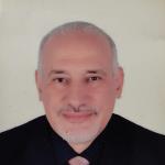 Plastic Surgery Consultant 