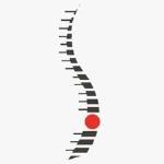 Physiotherapist 