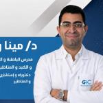 Consultant in Internal Medicine, Gastroenterology, Hepatology and Endoscopy