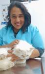 Consultant of Surgery, Anesthesia, and Radiologyof Veterinary