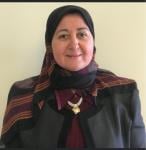 إستشاري أمراض النساء والتوليد وجراحات المناظير إستشاري أمراض النساء والتوليد وجراحات المناظير