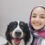 Specialist in Veterinary