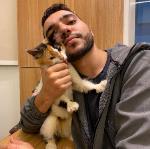 Specialist in Veterinary